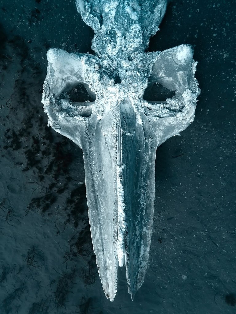  :    .       .   ... - 3