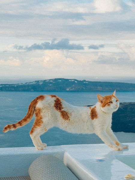 ������ �� ��������� ����� ���� ������ �����