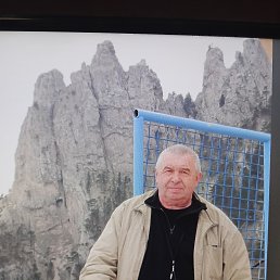 , 61, 