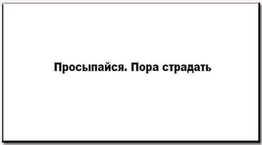 Натали - 22 апреля 2025 в 09:07