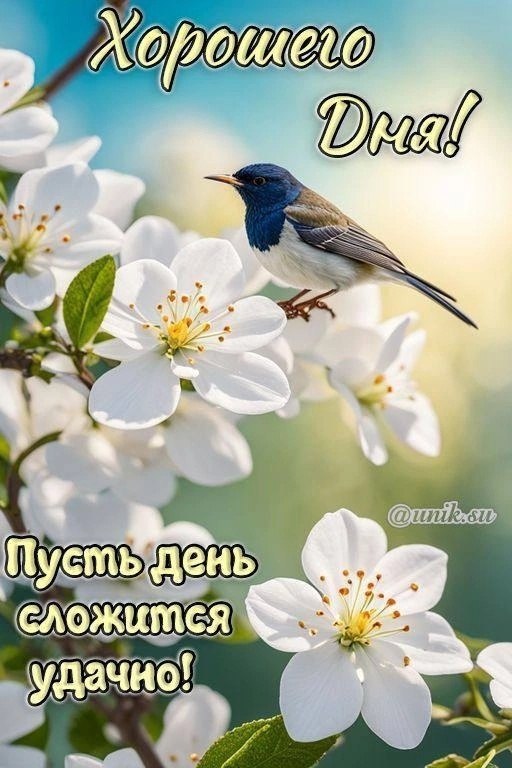   - 17  2025  13:20