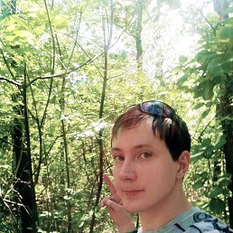 , 33, 