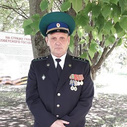 , 53 , 