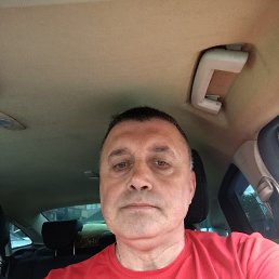 , 53 , 