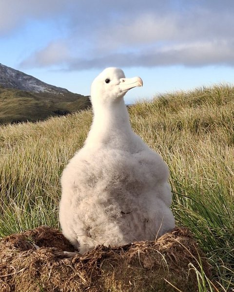 ,   -    : 1.    2.  ... - 2