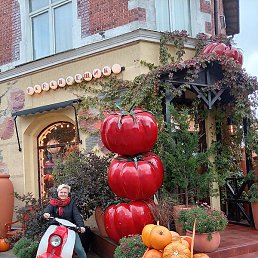 ��������, ������, 53 ����