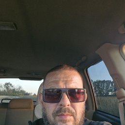 ������, 41 ���, ��������