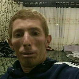 , 37, 