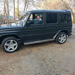 �����, �������, 56 ���