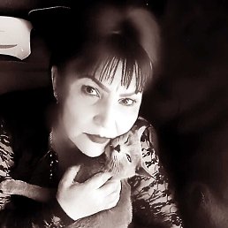 , 49, 