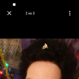 , 54, 