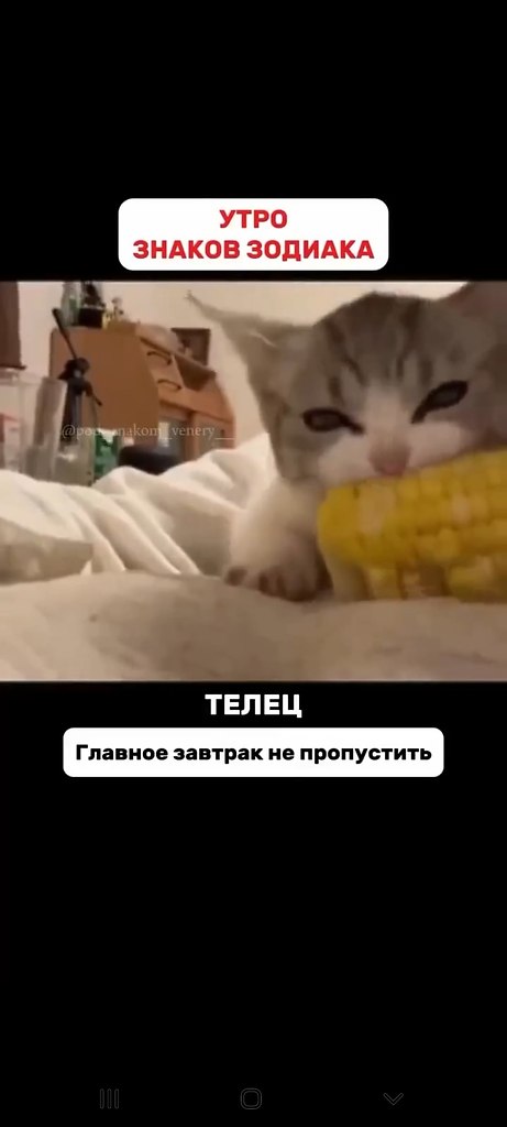     ?   