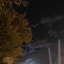 ���� �����(����)., ������, 43 ���� - ��������� 16 ���� 2024