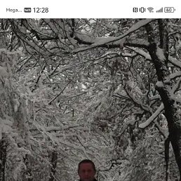 , 41, 