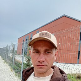 , 41 , 