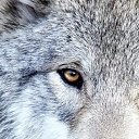 ���� ����, ������, 47 ��� - ��������� 23 ��� 2024 � ������ ���� ����������