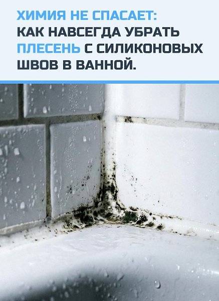 �ece�� �a c������x ��ax �e ������c� �a�ce��a �� ���� x����ec�� cpe�c���. �a�e ca��e a�pecc����e ...