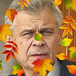 ���������, ������, 71 ���