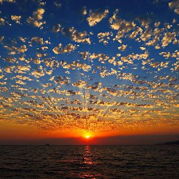 �����, ���������