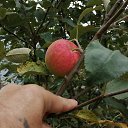  , , 51  -  8  2024   24  !!!!!!!!!!!!!!