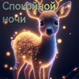 ����, �����, 56 ���