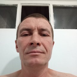 ���� ����, �����������, 44 ���� - ��������� 24 ������� 2026