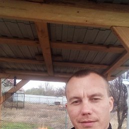 , 37, 