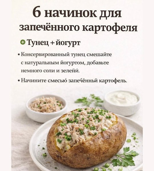 ������� - 8 ������ 2026 � 05:06 - 3
