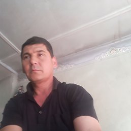 , 52, 