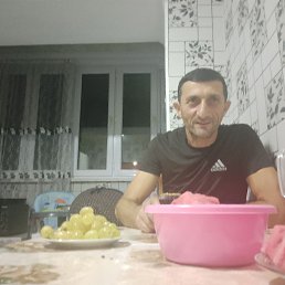 , 53, 