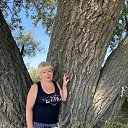 ���� �������, �������, 69 ��� - ��������� 11 ����� 2025