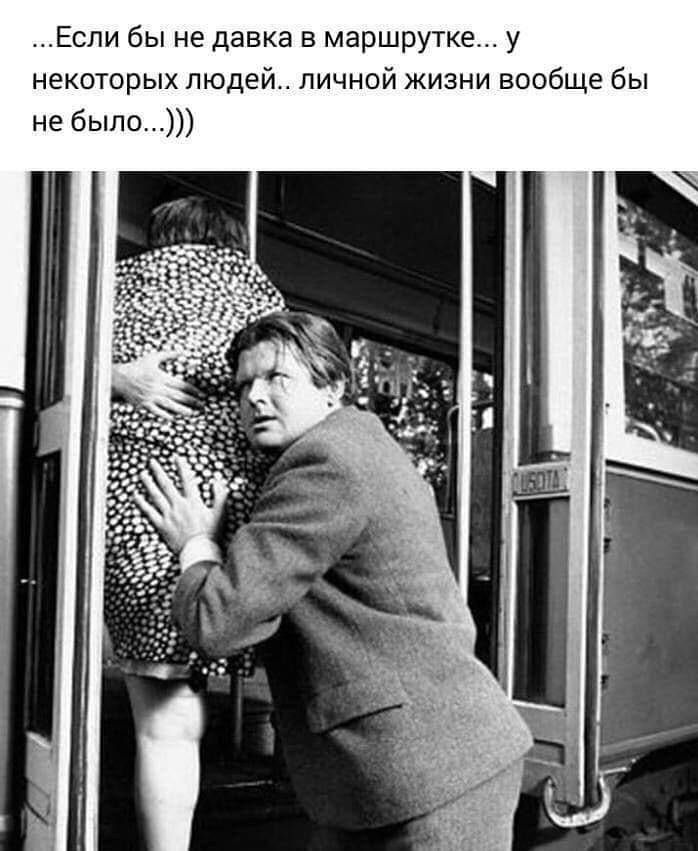   ))