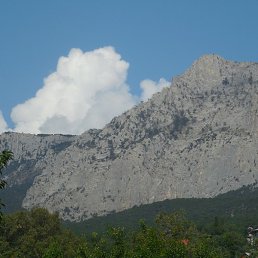 ����, �������, 49 ���