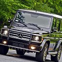 ���� ���������, �������, 46 ��� - ��������� 31 ���� 2024 � ������ ���� ����������