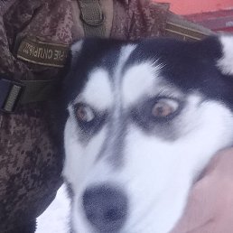 �������, ������, 52 ����