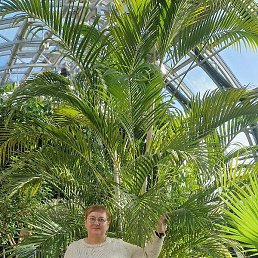 ������, �����, 61 ���