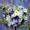 ���� ����, �����-��������� - ��������� 22 ���� 2025 � ������ ������ ��������