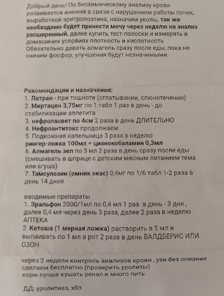    .   ,    ,     ... - 2