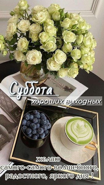   ! - 9  2024  08:46