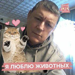 ����, �������, 66 ���