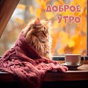 ���� �����, ������, 45 ��� - ��������� 9 ������ 2024 � ������ ���� ����������