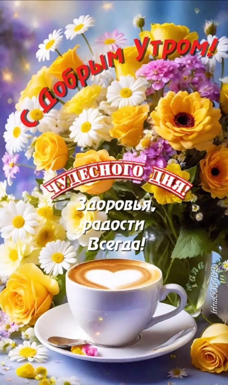  - 24  2025  11:24