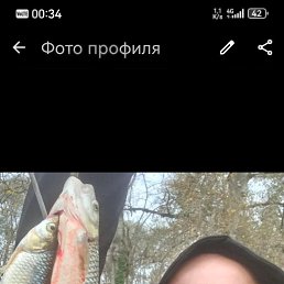 ����, 46 ���, ���������