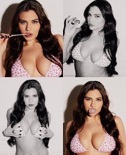 �����������