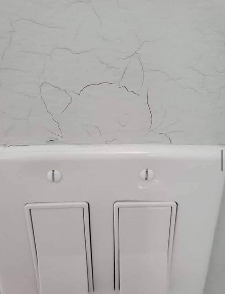 � ���� ����� �����! - 8