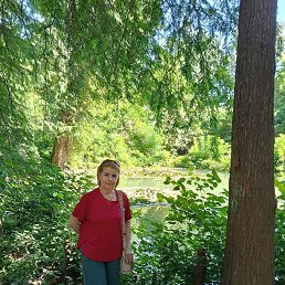 ���� �������, �������, 62 ���� - ��������� 18 ������� 2025