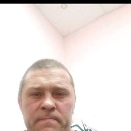 , 41, 