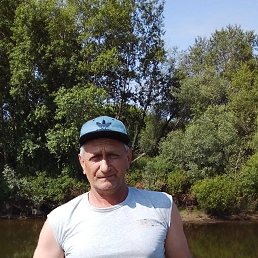 , 37, 