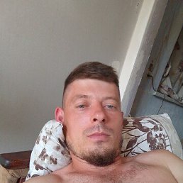 , 29, 