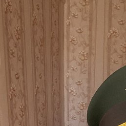 �����, �����������, 50 ���